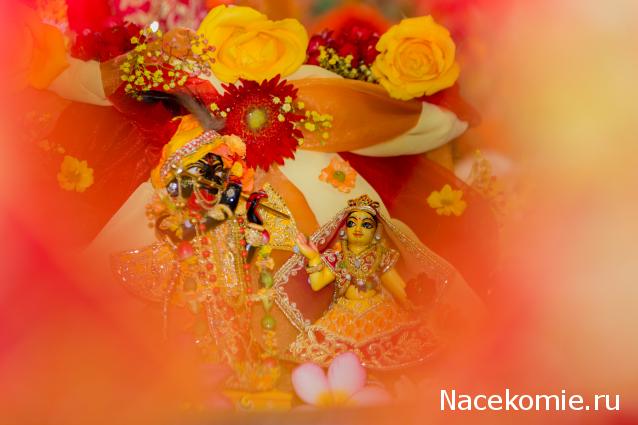 littledasi - чтобы малыши чувствовали себя, как дома...