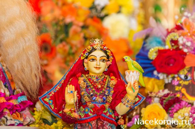 littledasi - чтобы малыши чувствовали себя, как дома...