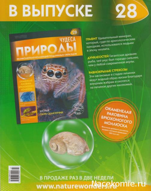 Чудеса Природы - График Выхода и обсуждение