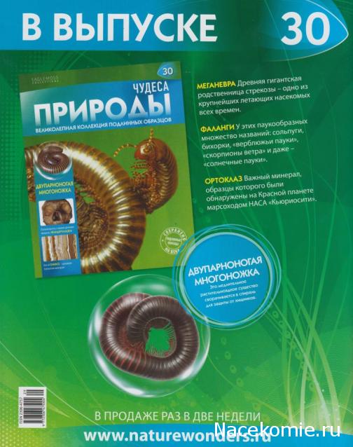 Чудеса Природы - График Выхода и обсуждение