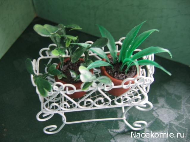 Galya: "My house is my castle"