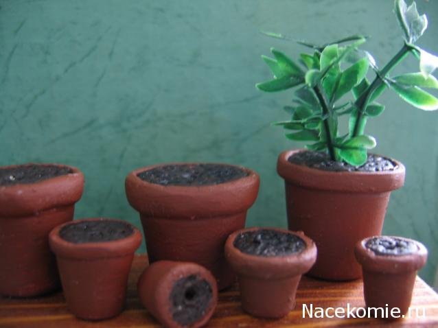 Galya: "My house is my castle"