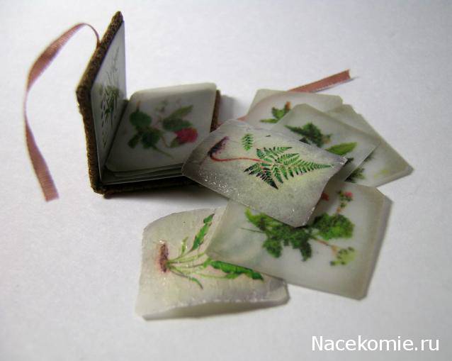 Мастерицы Дома Мечты