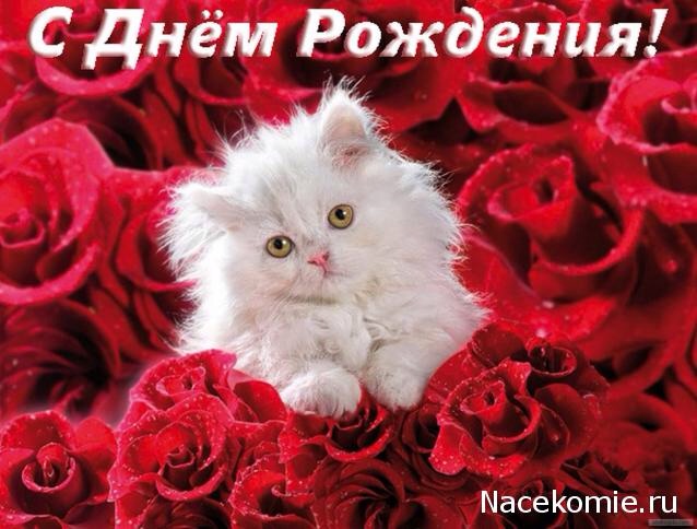 Дом Мечты наши дни рождения