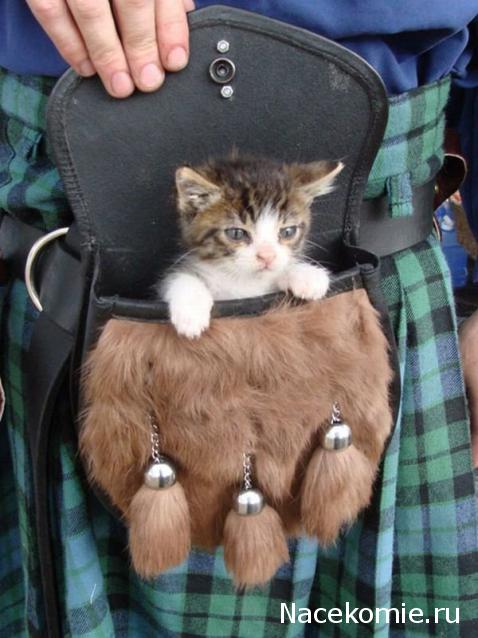 Куклы в Костюмах Народов Мира №30 Великобритания - Шотландия