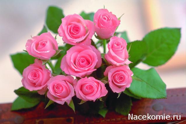 luchana - Добро пожаловать или гостеприимный лондонский особняк семейства Куэнтон-Говард