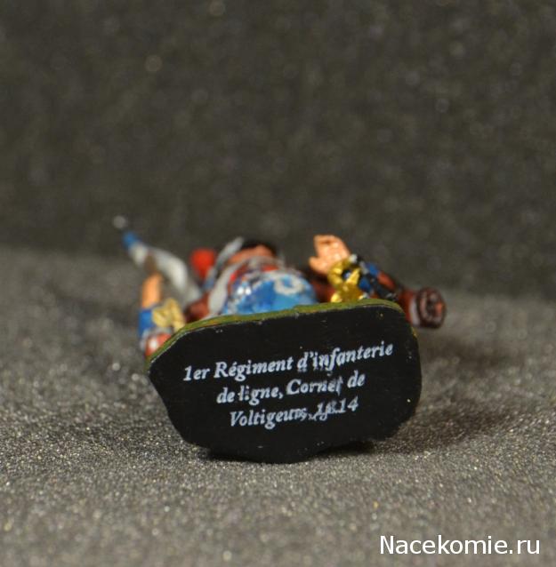 Hobby & Work "Наполеоника"