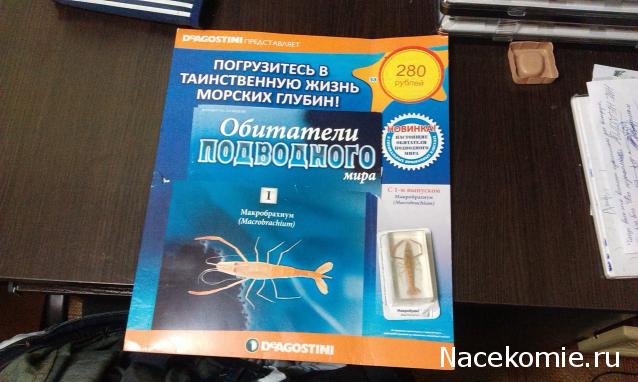 Обитатели подводного мира - ДеАгостини - тест