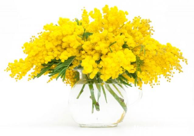 MAZEKA представляет