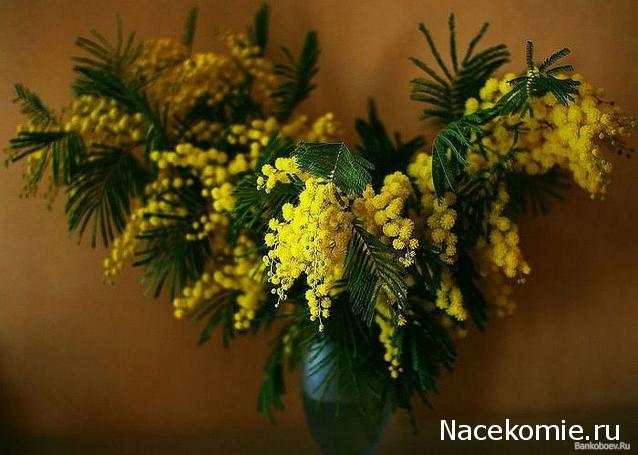 MAZEKA представляет