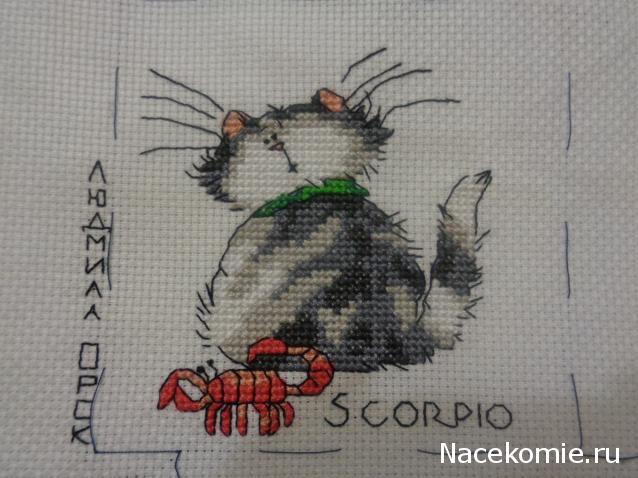 Round Robin №5 (российский)