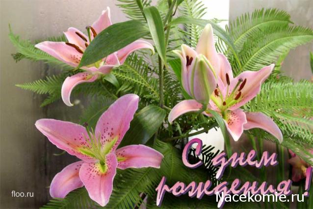 Дом Мечты наши дни рождения