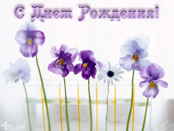 Ksana - Мой дом