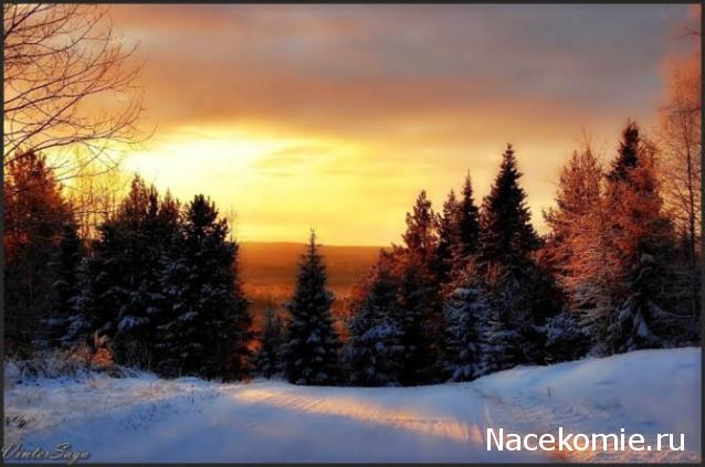 Наши Дни Рождения