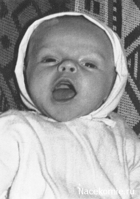 Moshule - Стройка века