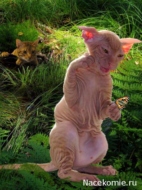 repLIka - Лучше поздно, чем никогда