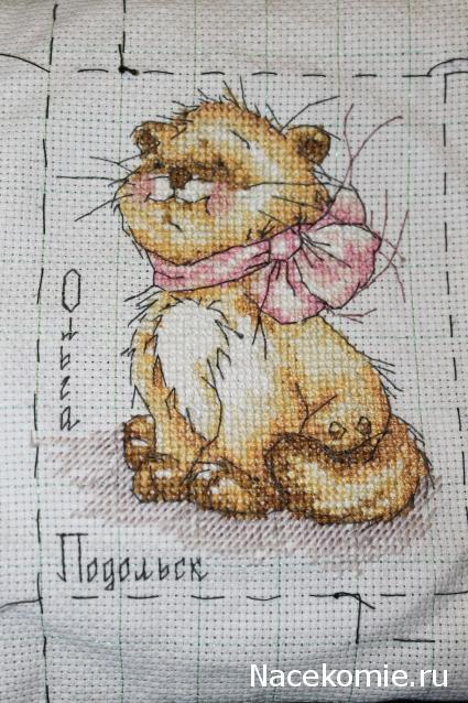 Round Robin №5 (российский)