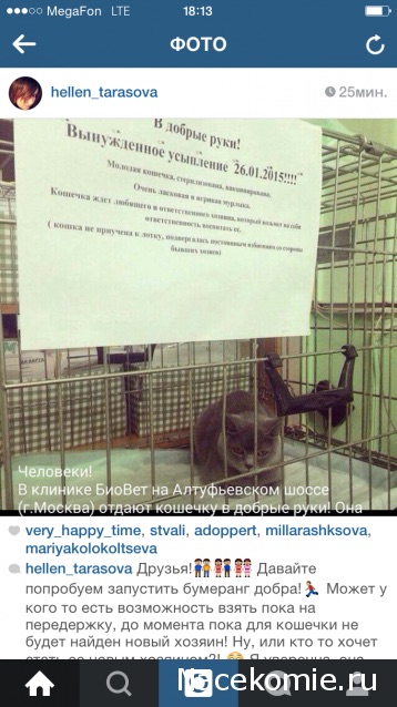 Дом Мечты Болталка: перезагрузка