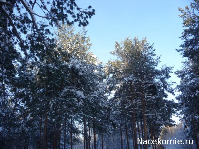 Куклы в народных костюмах – "Девчушки-болтушки"