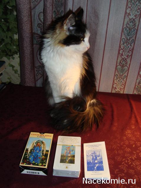 Многоликое Таро. Обсуждение колод