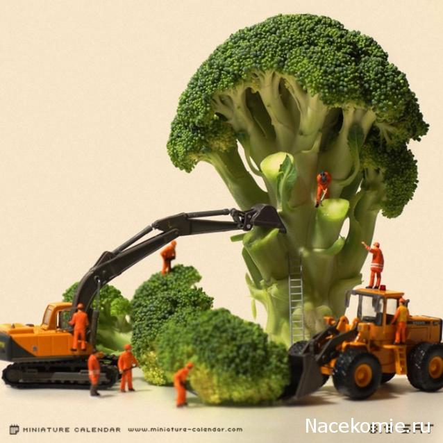 Миниатюрные чудеса и интересности