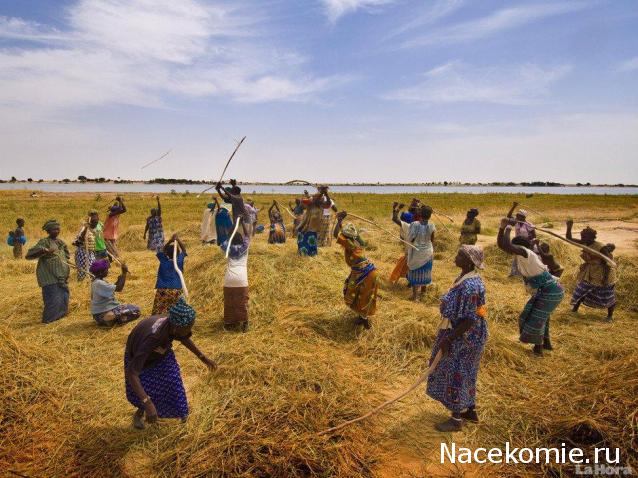 Куклы в Костюмах Народов Мира №29 - Мали