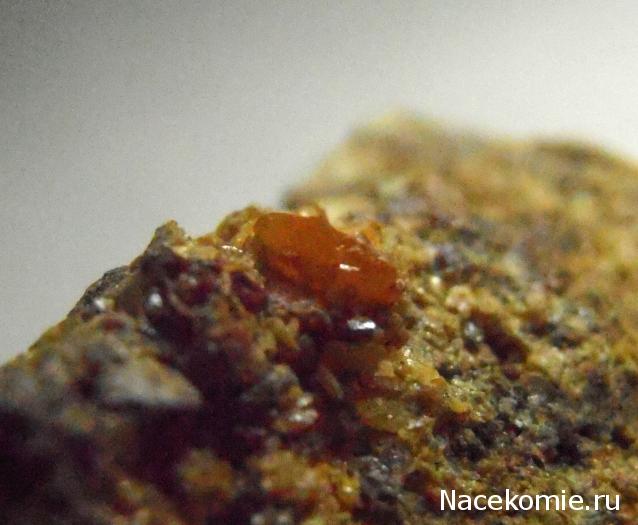 Минералы Сокровища Земли №77 - Вульфенит