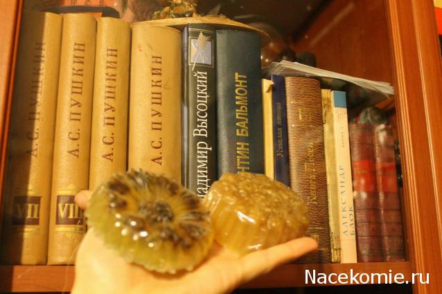 MAZEKA представляет