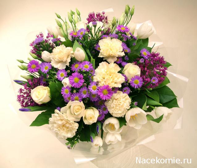 Наши Дни Рождения