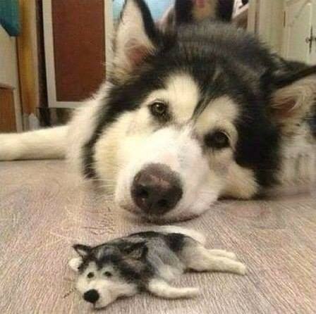 Миниатюрные чудеса и интересности