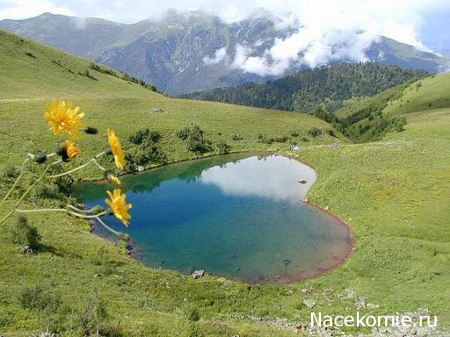 Куклы в народных костюмах – "Девчушки-болтушки"