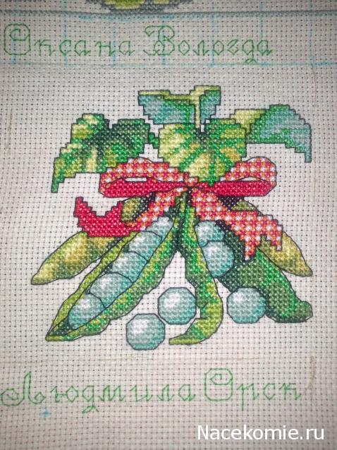 Round Robin №5 (российский)