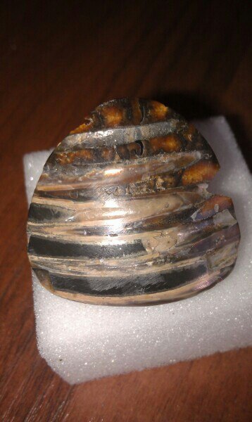 Компания кладоискателей. Болталка форума Минералов