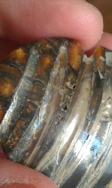 Компания кладоискателей. Болталка форума Минералов