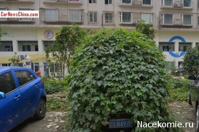 Игра "Угадай полицейское авто"