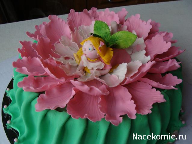 Дом Мечты наши дни рождения