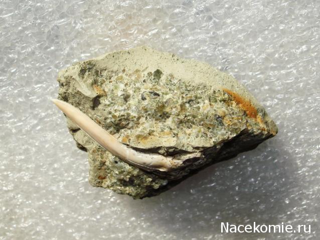 Компания кладоискателей. Болталка форума Минералов