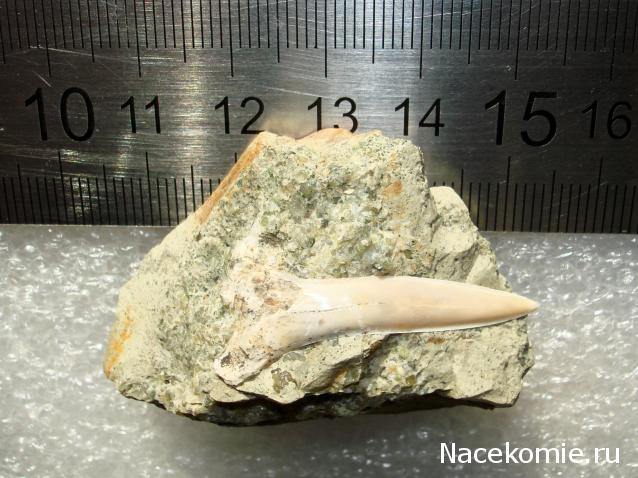 Компания кладоискателей. Болталка форума Минералов