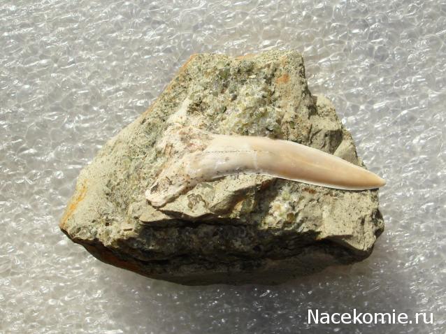 Компания кладоискателей. Болталка форума Минералов