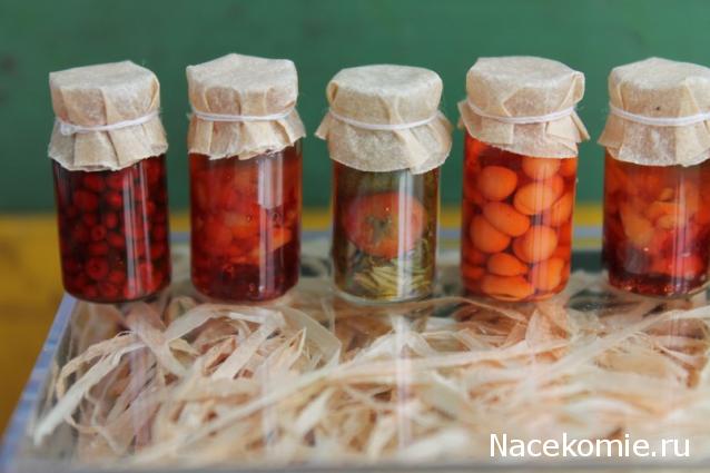 Мастерицы Дома Мечты