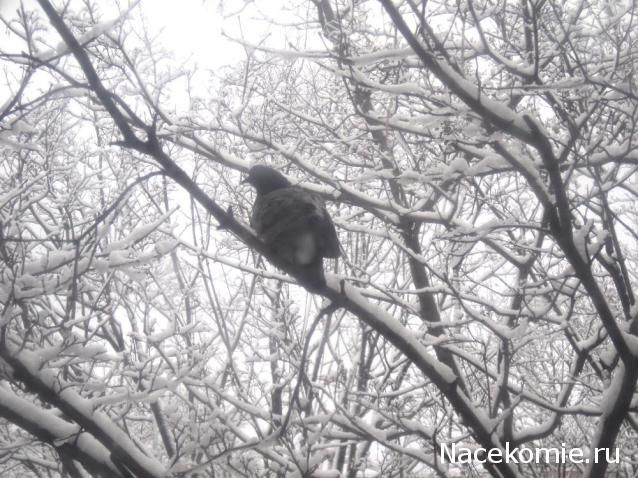 Болталка АЛ и АНС