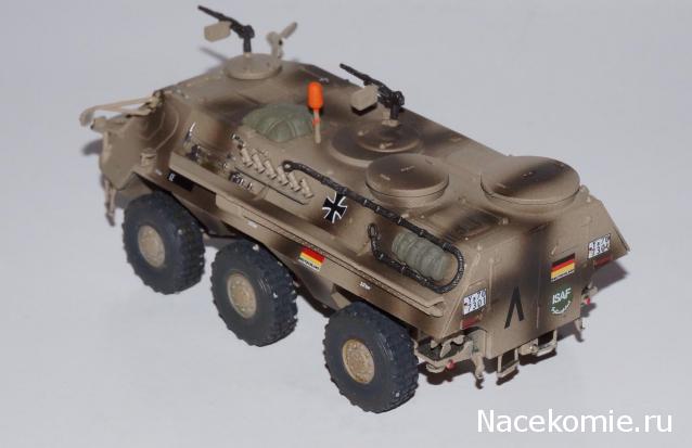 Коллекция Maksus