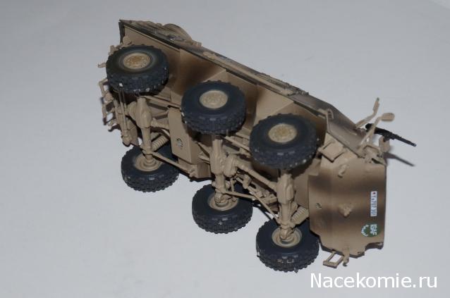 Коллекция Maksus