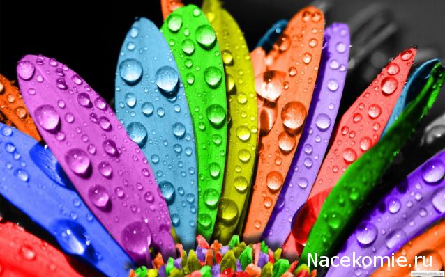 Дом Мечты наши дни рождения