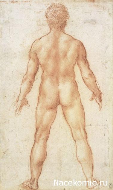 Таро Мир Леонардо да Винчи