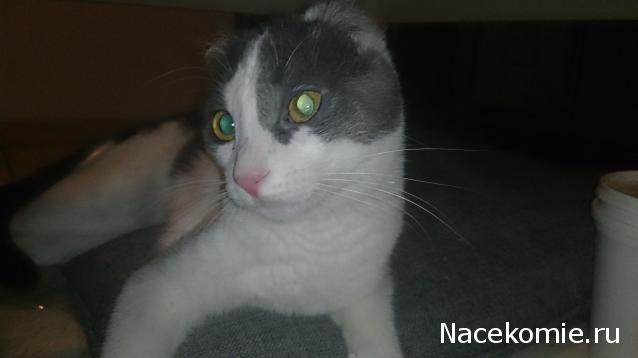 Дом Мечты. Болталка 2 или... будем знакомы