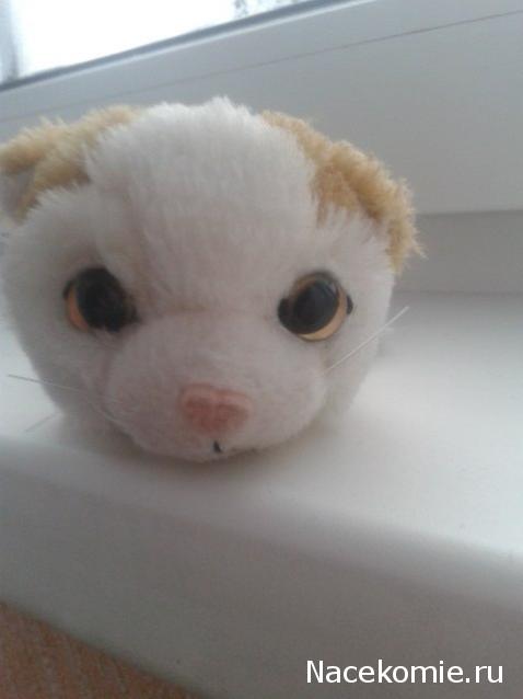 The Cat Collection № 10 Турецкий ван Фото