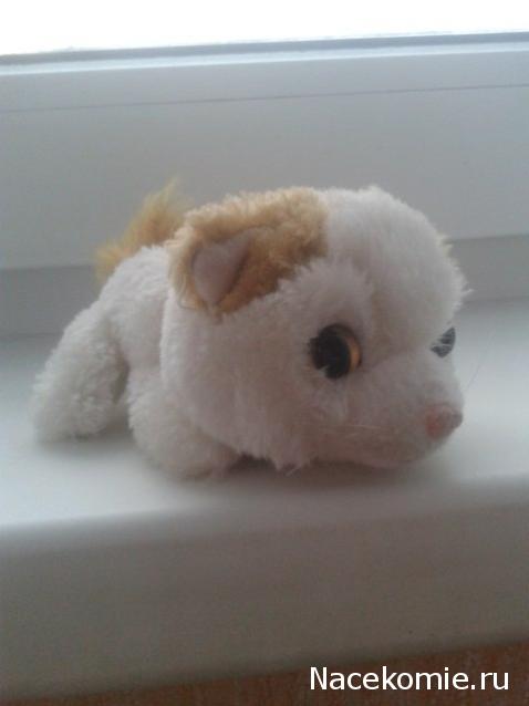 The Cat Collection № 10 Турецкий ван Фото