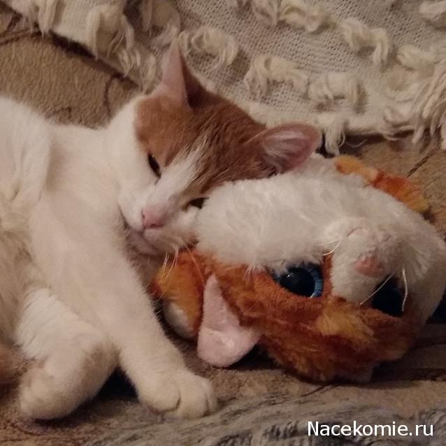 Дамы эпохи - Болталка №2 (соседняя палата)