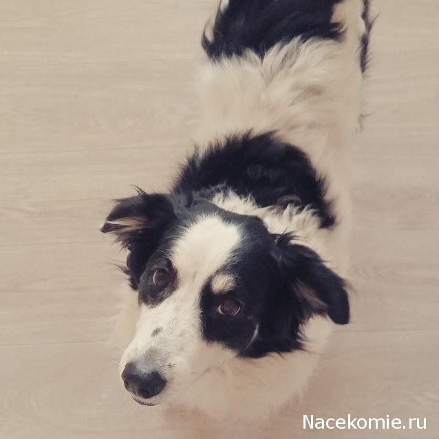 Дамы эпохи - Болталка №2 (соседняя палата)